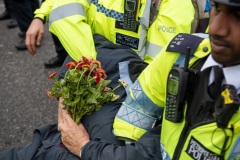 Blocking of Lambeth Bridge by Extinction Rebellion, London