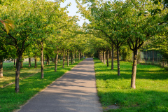 Mauerradweg