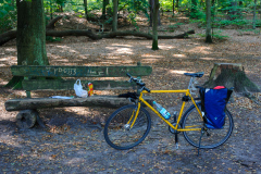 Mauerradweg