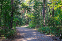 Mauerradweg