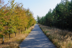 Mauerradweg