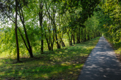 Mauerradweg