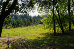 Mauerradweg