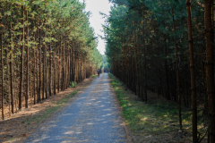 Mauerradweg
