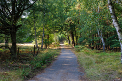Mauerradweg