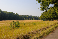 Mauerradweg