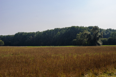 Mauerradweg