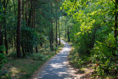 Mauerradweg