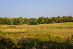 Mauerradweg