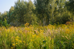 Mauerradweg