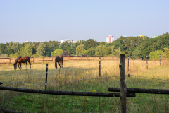Mauerradweg