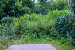 20120828-14-55-12